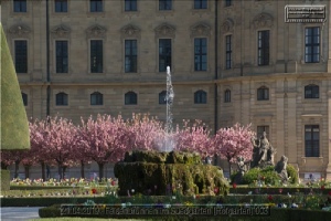 Brunnen dieser Stadt